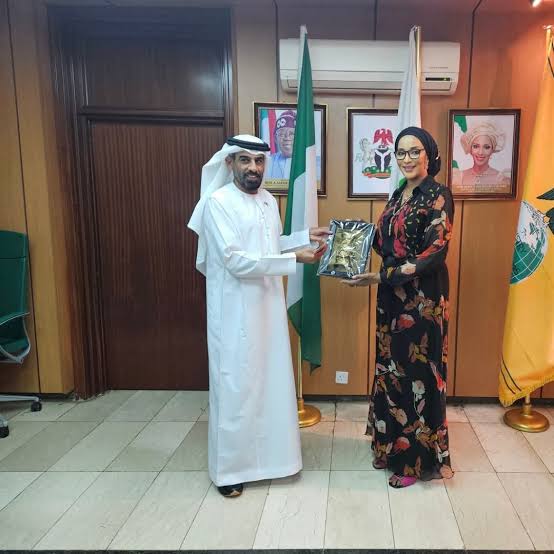 Nigeria, UAE To Hold Talks On Visa Restrictions