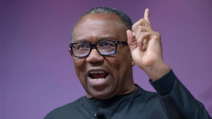 2027: I’m Only Interested In Coalition Against Hunger, Poverty, Says Peter Obi