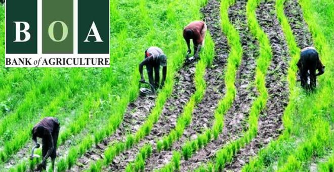 FG recapitalises Bank of Agriculture with N1.5trn to drive food security