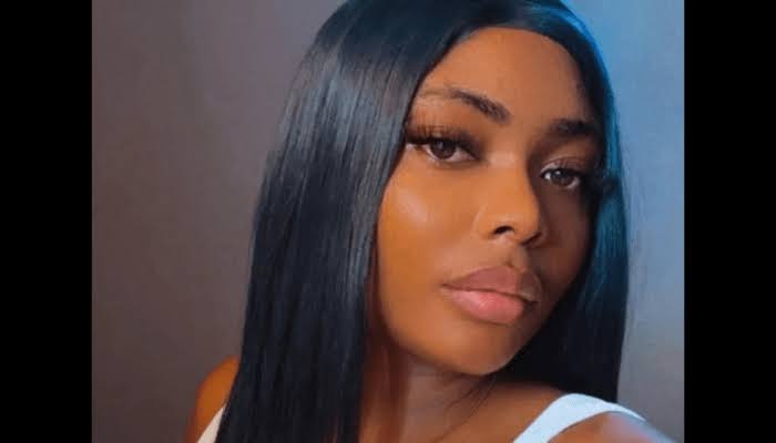 Court frees Ibom Air passenger after withdrawal of charges