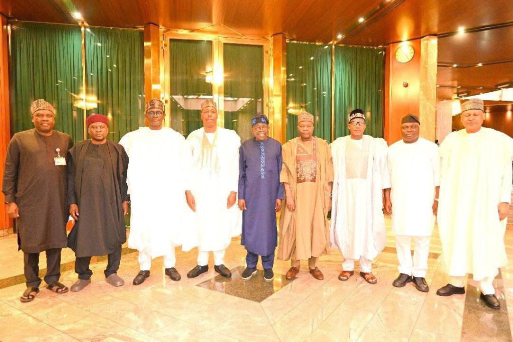 North-East Govs Meet Tinubu, Seek Oil Exploration, Completion Of Projects