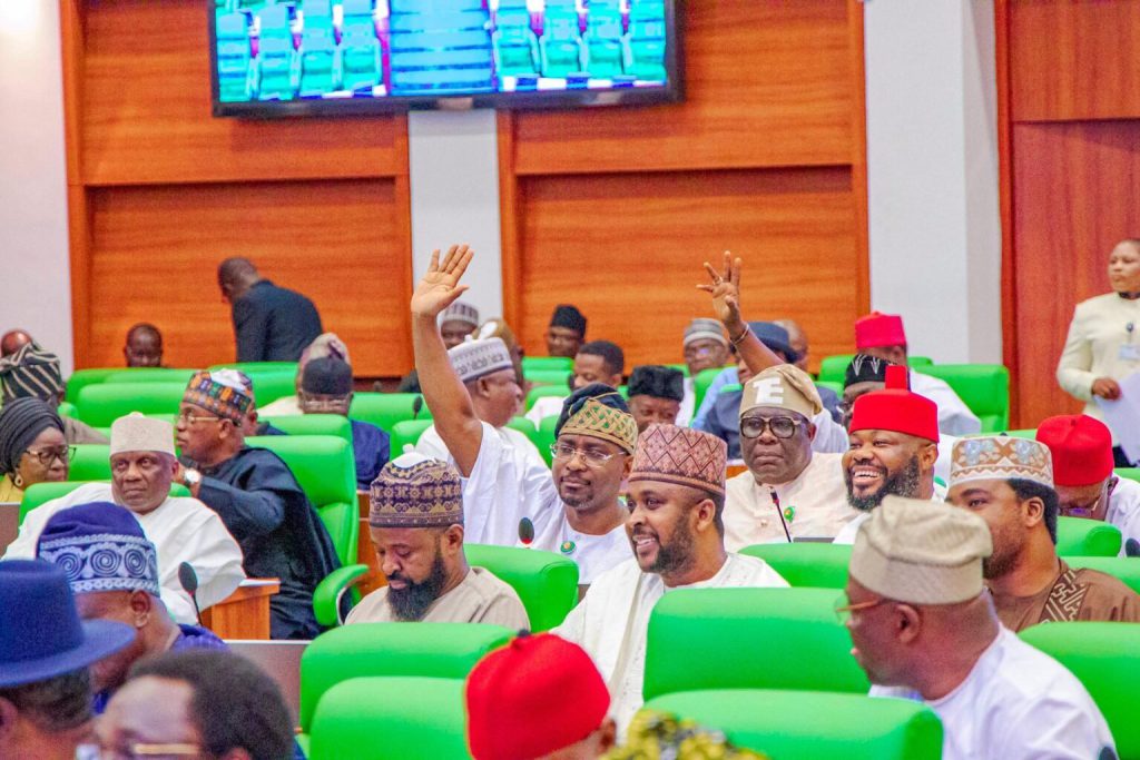 Reps panel: We have received threats from terrorists to bomb national assembly