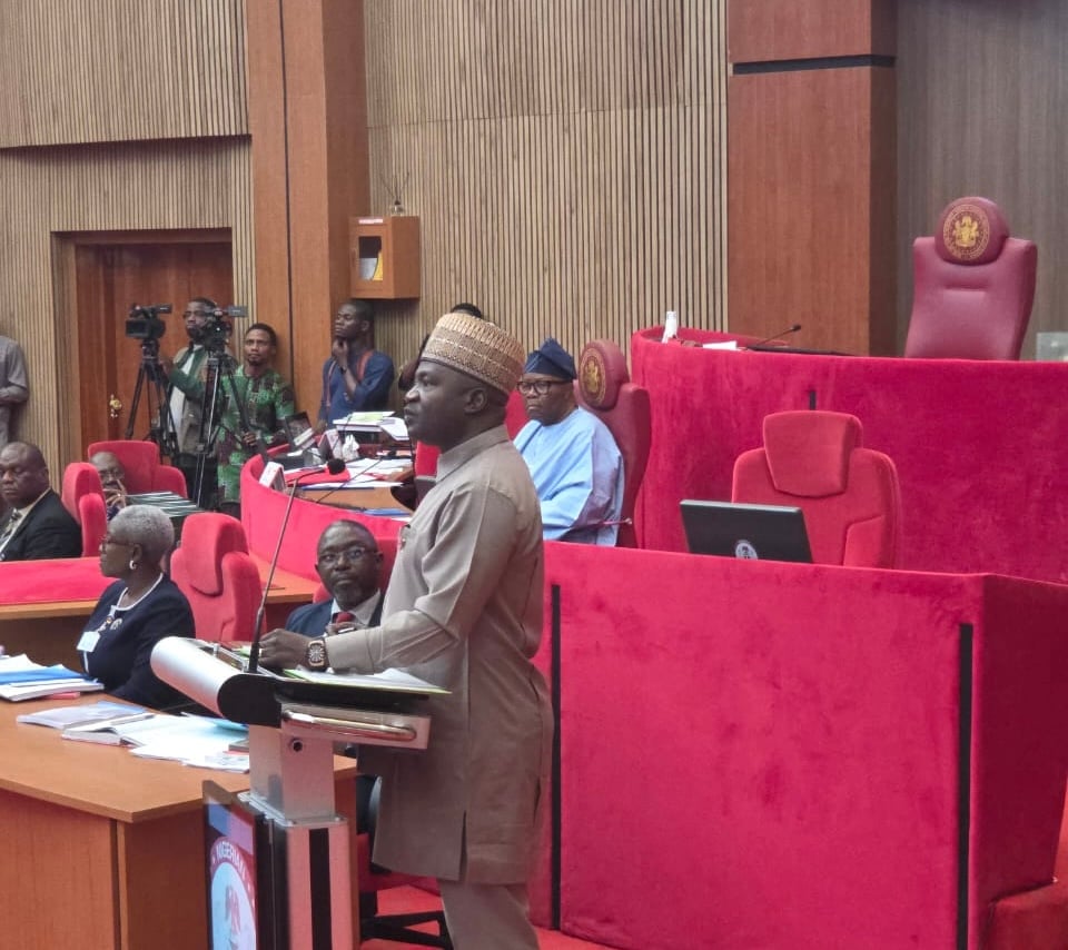 Senate confirms ex-CDS Musa as Defence Minister