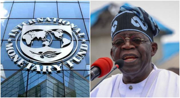 IMF advises Nigeria to charge VAT on petroleum products, excise duty on telecoms services