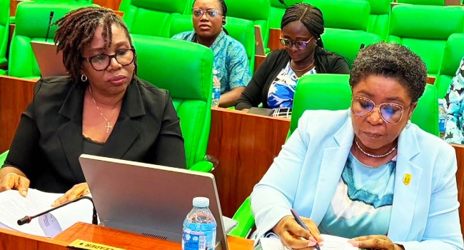 ‘We take responsibility’ — HoS says no due diligence done in PFIPC documents verification